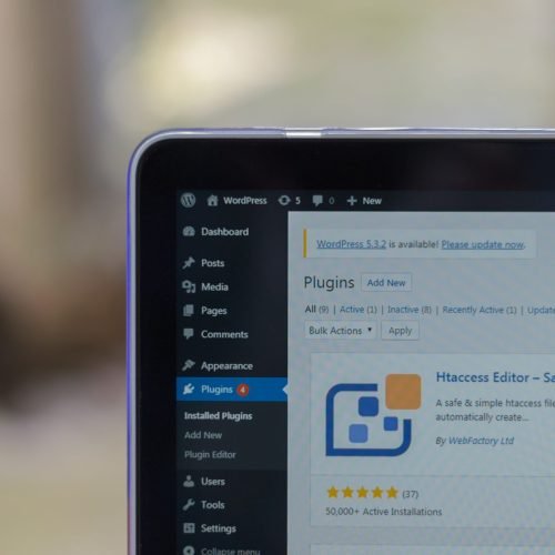 Website development in WordPress