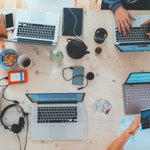 Web hosting and maintenance consultation